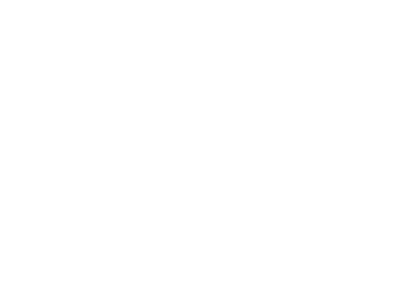 Advant Planning GmbH i.G.