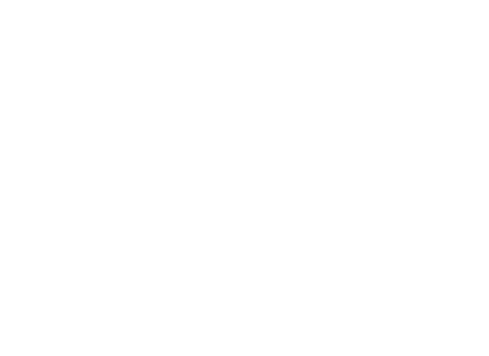 Audi AG