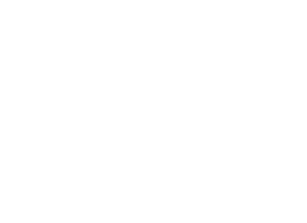 Bruno Frangi