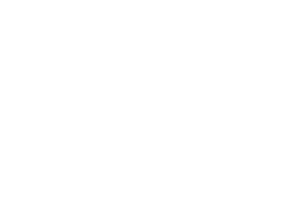 BWI Informationstechnik
