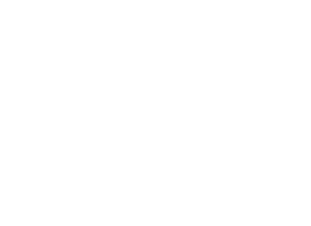 G.in.ser GmbH & Co.KG