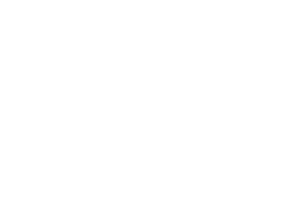 Holzner GmbH