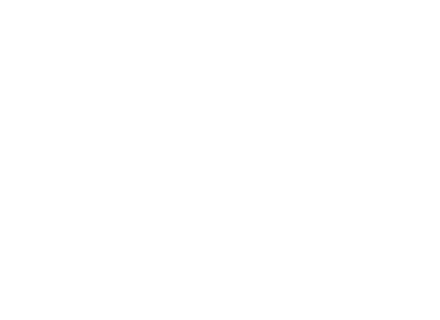 Aktionsgemeinschaft Innenstadt