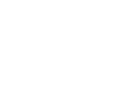 LION E-Mobility AG