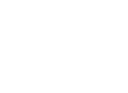 Martin AG