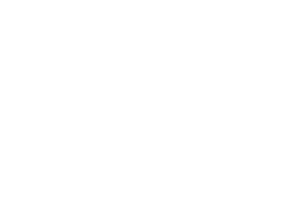 Martin GmbH