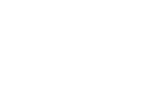 Plansee Group