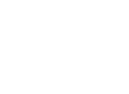 SAITNER Technik & Präzision
