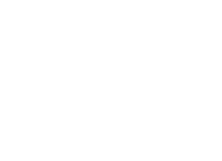 SNP Schlawien Partnerschaft