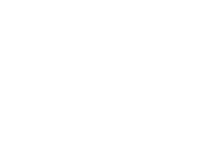 Timmermann Partners