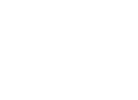 Villeroy & Boch
