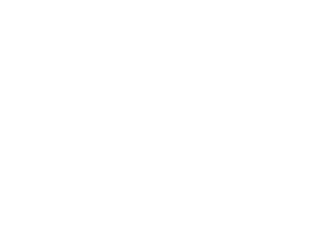 Vita Stafnensis